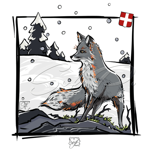 ANIMAUX D'ICI - Le renard