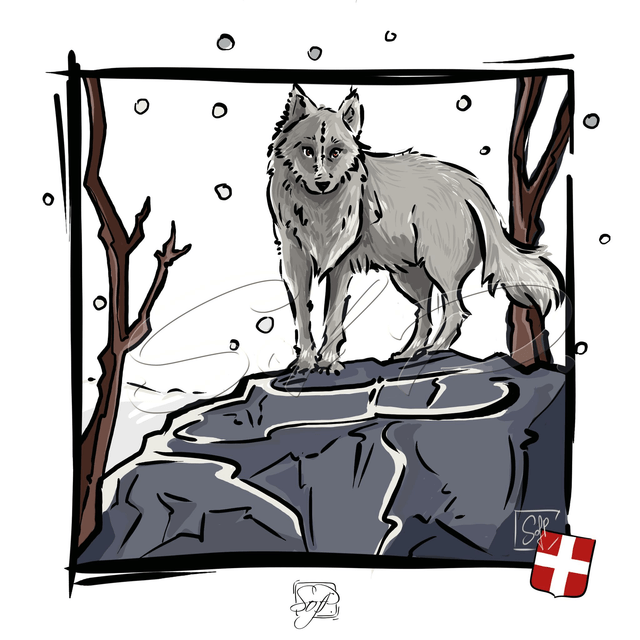 ANIMAUX D'ICI - Le loup