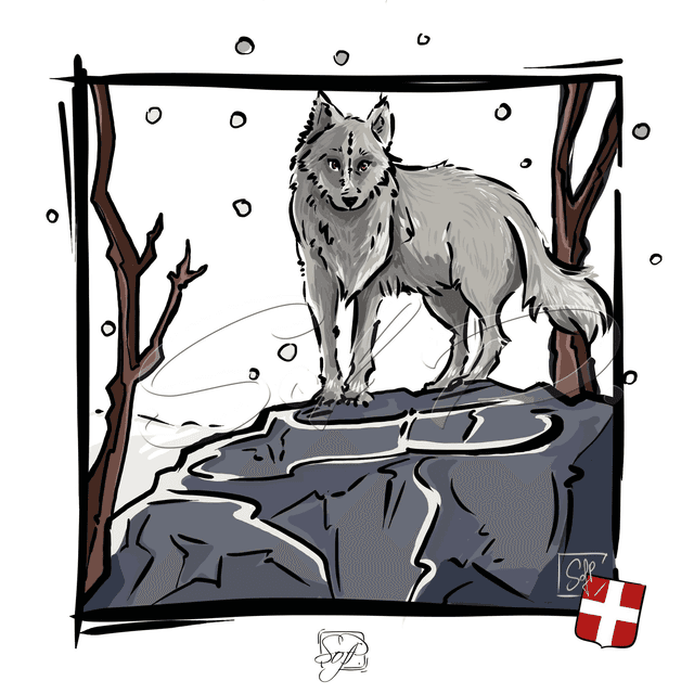 ANIMAUX D&#039;ICI - Le loup